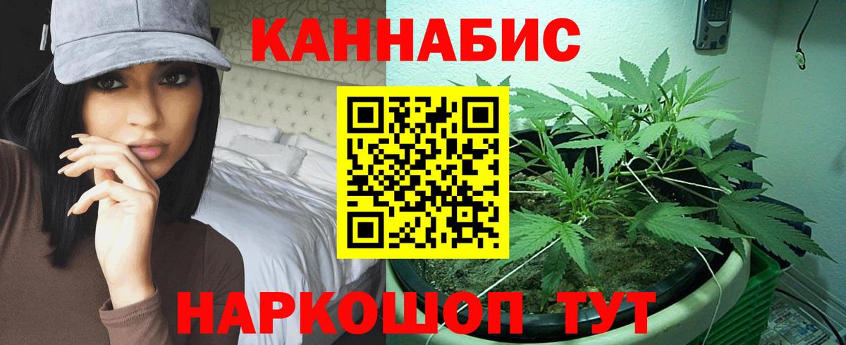 Марихуана план Гай